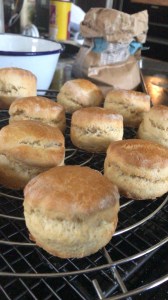 A1B7FE59-0A96-429B-9EE5-4BB75538F8F1