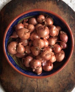 BFCD9748-62C5-4C07-A01E-AEB5F912B2A2