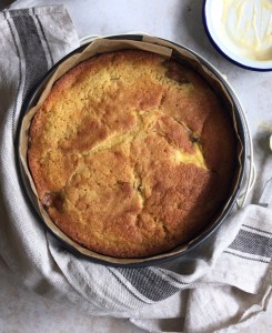 FE5D5003-BFD6-4B78-84BF-68000BBF64D1