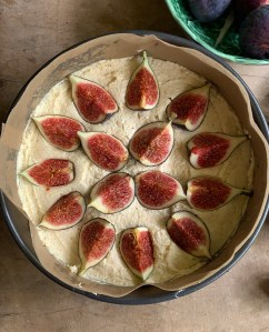 8A350111-CD4E-450D-9448-CB3838CB25F0