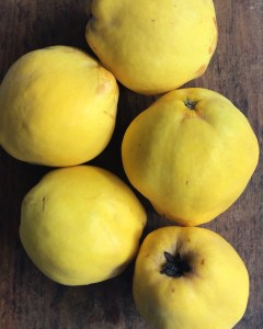 7E16564C-09BD-48B8-BA13-8CE5E2998A5D